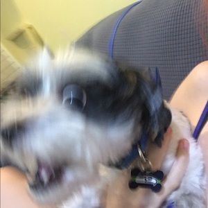 Meet your Posher, Hannah